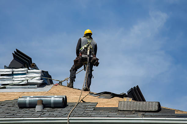 Professional Storm Damage Roof Repair technician working in Brooklet, GA